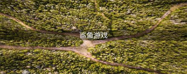 2022关于鲨鱼的游戏有哪些 热门的鲨鱼游戏推荐(鲨鱼游戏)