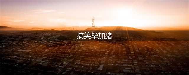 仁猴毕加猪超级搞笑表情(搞笑毕加猪)