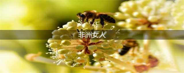 非洲10个美女最多的国家，一个比一个漂亮(非洲女人)