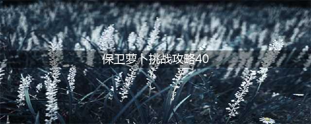 保卫萝卜4第40关攻略图解 第40关图文通关步骤一览(保卫萝卜挑战攻略40)