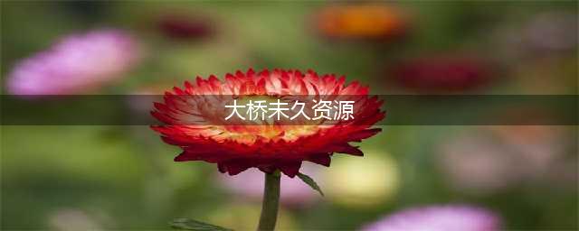 大桥未久的独特魅力(大桥未久资源)