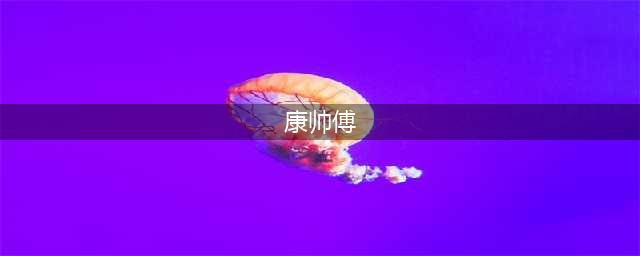 我们曾买到的山寨“模仿”产品：雷碧、粤利粤、康帅傅、大个核桃？(康帅傅)