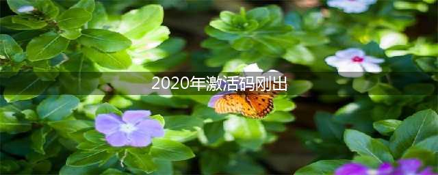 《迷你世界》2020激活码有哪些 2020激活码介绍(2020年激活码刚出)