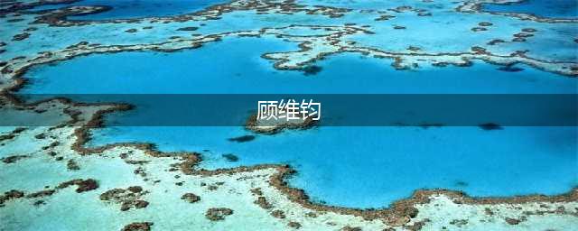 一个人最悲哀的状态：太较真(顾维钧)