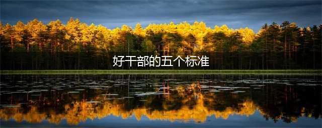 好干部的五大标准(好干部的五个标准)