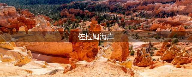 《魔兽世界》佐拉姆海岸任务怎么做 佐拉姆海岸任务完成攻略(佐拉姆海岸)