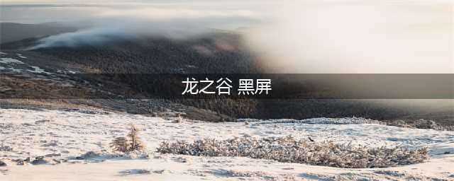 《龙之谷2》黑屏怎么办 黑屏解决办法(龙之谷 黑屏)