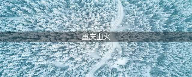 重庆山火大决战：万人冲进火海，他们悲壮到令人想哭(重庆山火)