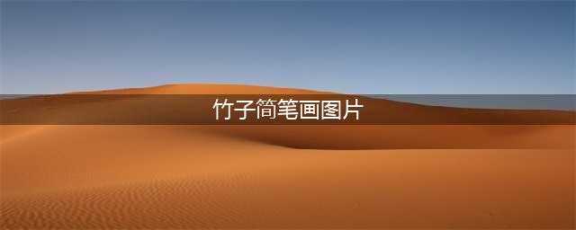 简笔画 | 竹子(竹子简笔画图片)