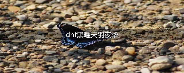 《DNF》天羽夜华套新特效全面来袭(dnf黑曜天羽夜华)