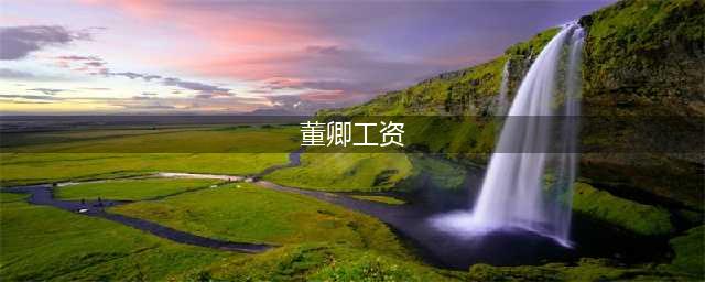 电视主持董卿的工资曝光，网友表示，这辈子都不可能挣这么多(董卿工资)