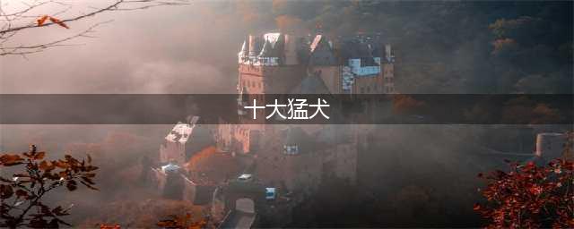 世界十大最凶猛的狗：藏獒只排第六，第一名发起疯主人也咬死(十大猛犬)