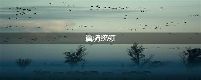 翼骑统领赵信绝版了吗(翼骑统领)