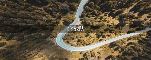 《DOTA2》CDEC.Y战队介绍(cis战队)