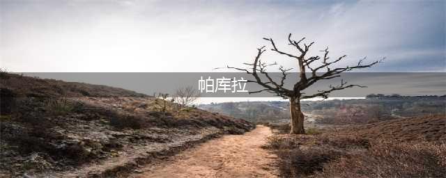 《火影忍者手游》帕库拉怎么玩 帕库拉玩法攻略大全(帕库拉)
