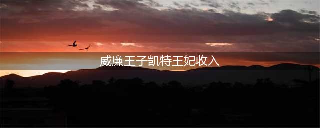 谁是英国王室年薪最高的人？凯特王妃、梅根还是苏菲？(威廉王子凯特王妃收入)