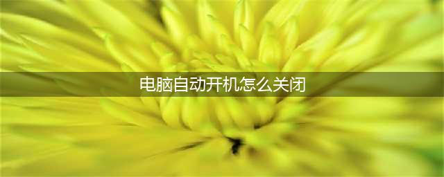 电脑自动开机，怎么才能取消?(电脑自动开机怎么关闭)