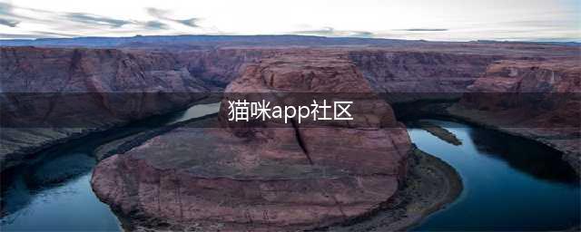 打造贴心伴侣！猫宠物App开发，与你的猫咪建立更紧密的联系(猫咪app社区)