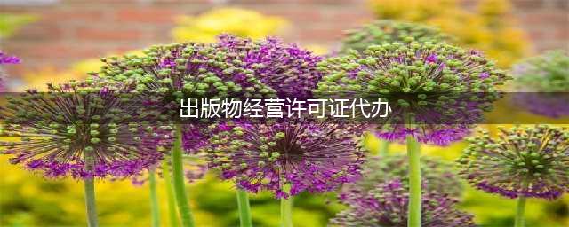 出版物经营许可证代办,条件及准备材料(出版物经营许可证代办)