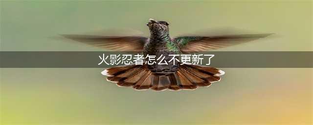 火影忍者手游更新失败怎么办 火影忍者手游更新不了(火影忍者怎么不更新了)