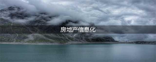 中国房地产信息化行业报告：房地产开发信息化市场增长率最高(房地产信息化)