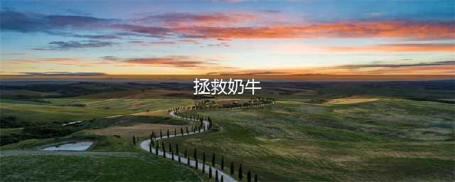 案件大师第6关拯救奶牛攻略 怎么救出被困的奶牛(拯救奶牛)