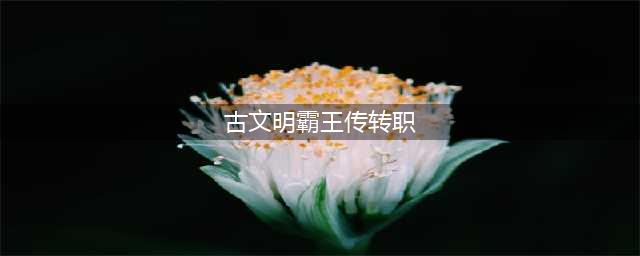 古文明霸王传转职心得攻略