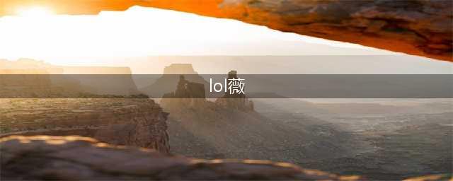 《英雄联盟》新英雄薇古丝玩什么位置 lol薇古丝定位分析(lol薇)