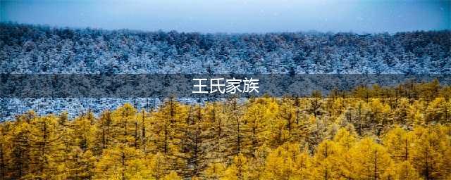 百家姓之王氏家族简介(王氏家族)