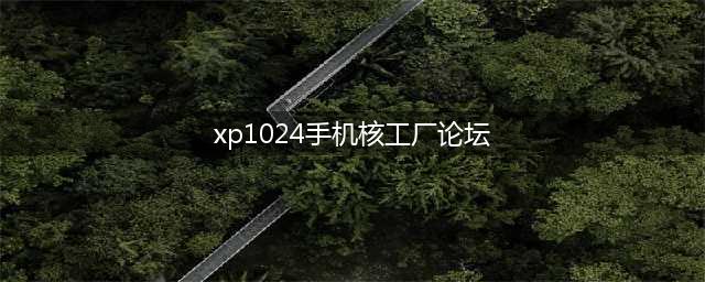 1024，我准备了 8 万！(xp1024手机核工厂论坛)