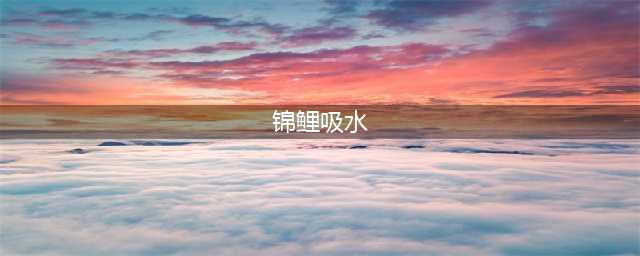 锦鲤吸水是什么？鱼吸水正确解析(锦鲤吸水)