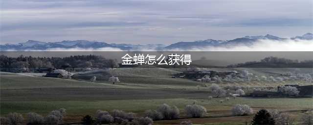 王者荣耀金蝉如何获取