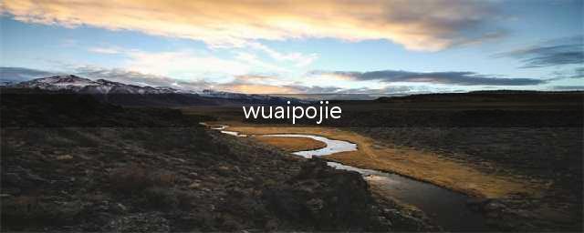 中国最大破解网站，要凉(wuaipojie)