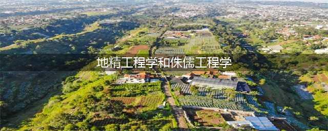 《魔兽世界怀旧服》地精工程学和侏儒工程学攻略 两者区别分享(地精工程学和侏儒工程学)