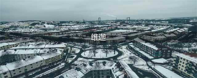 《云顶之弈》S4维迦怎么样 S4维迦属性一览(维迦)