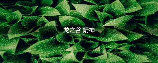 《龙之谷2》手游箭神技能怎么选择 箭神技能选择分享(龙之谷 箭神)