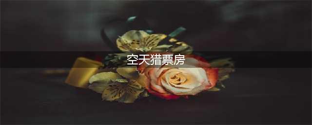 《空天猎》票房破两亿 空战巨制获老兵点赞(空天猎票房)