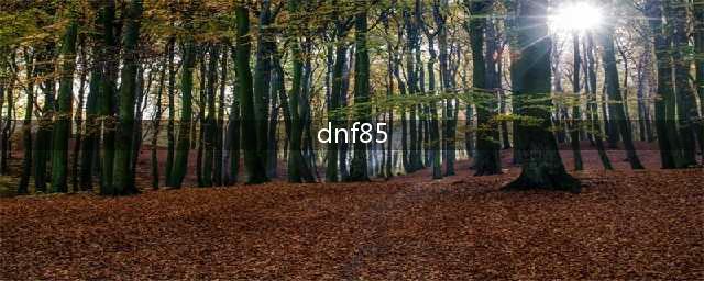 dnf哪个是最强85 dnf十套85史诗伤害哪个高(dnf85)