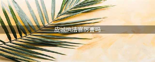 《英雄联盟》皮城执法官蔚厉害吗 英雄图鉴分享(皮城执法官厉害吗)