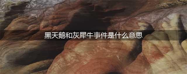 【涨知识】 什么是“黑天鹅”和“灰犀牛”(黑天鹅和灰犀牛事件是什么意思)