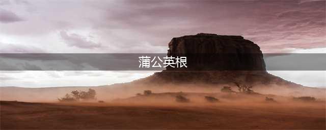 蒲公英的根、叶、花功效各不同，泡水喝记住“4搭配”、“4禁忌”(蒲公英根)
