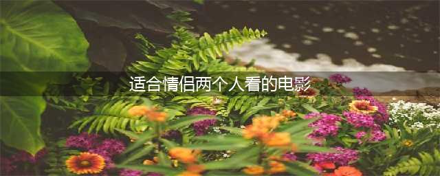 8部适合情侣看的高分电影，让人脸红心动！(适合情侣两个人看的电影)