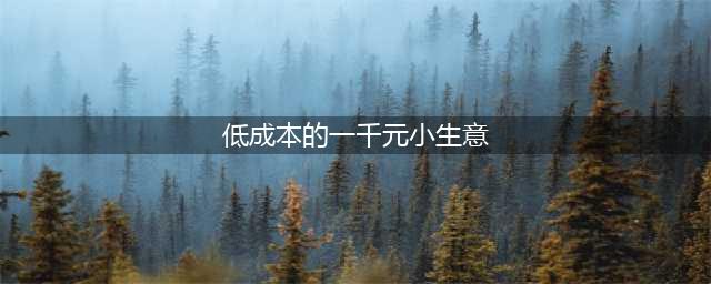 1000元的投入，现在能做哪些投资小、收入稳定小生意？推荐这4种(低成本的一千元小生意)