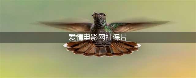 爱情电影大全 好看的爱情电影推荐(爱情电影网社保片)
