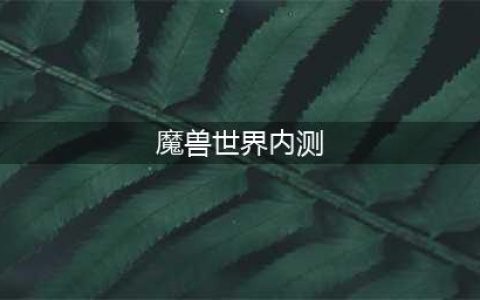 魔兽世界手游内测下载 魔兽手游内测服下载地址说明(魔兽世界内测)