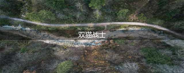 双猫战士好玩吗 双猫战士玩法简介