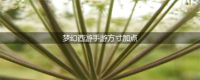 梦幻西游手游方寸山怎么加点 方寸山加点攻略(梦幻西游手游方寸加点)
