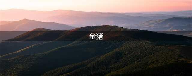 十二生肖 | 金猪，木猪，水猪，火猪，土猪的五行运势(金猪)