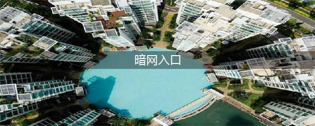暗网(暗网入口)