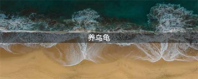 家里养乌龟对风水好吗？养乌龟的风水禁忌有哪些(养乌龟)